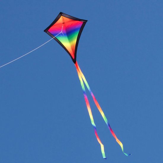 Parts of a Kite | Quizizz