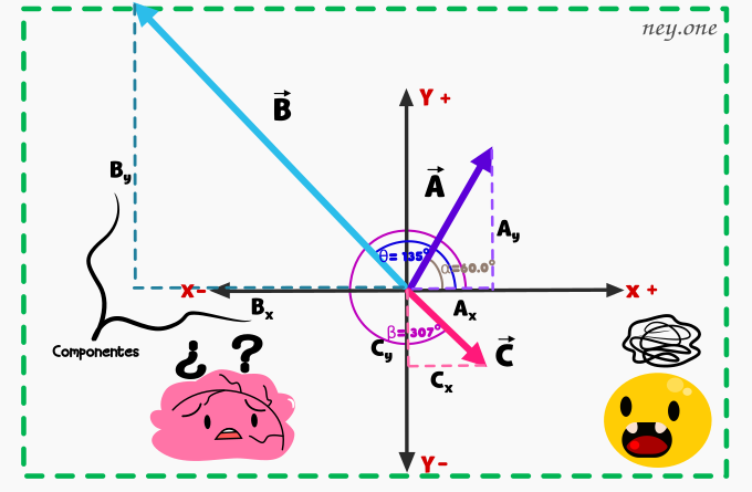 vectores - Grado 3 - Quizizz