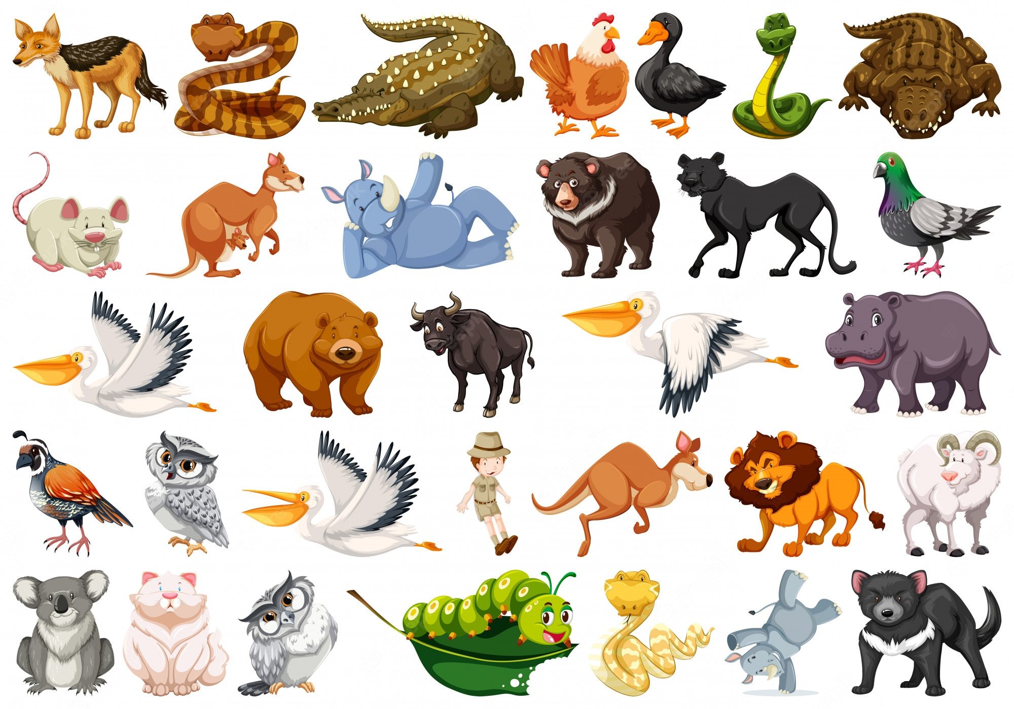 Free Printable Vertebrates And Invertebrates Flashcards Online - Quizizz