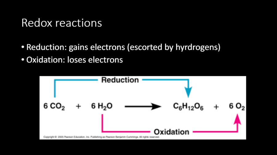 Photosynthesis questions & answers for quizzes and worksheets - Quizizz