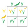 Punnett Squares