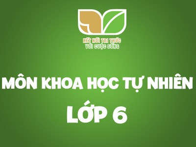 Phân hủy hình dạng - Lớp 8 - Quizizz