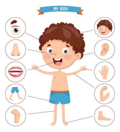 Body Parts (Grade 2) | English - Quizizz