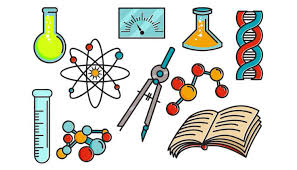 Quiz de ciências da natureza worksheet