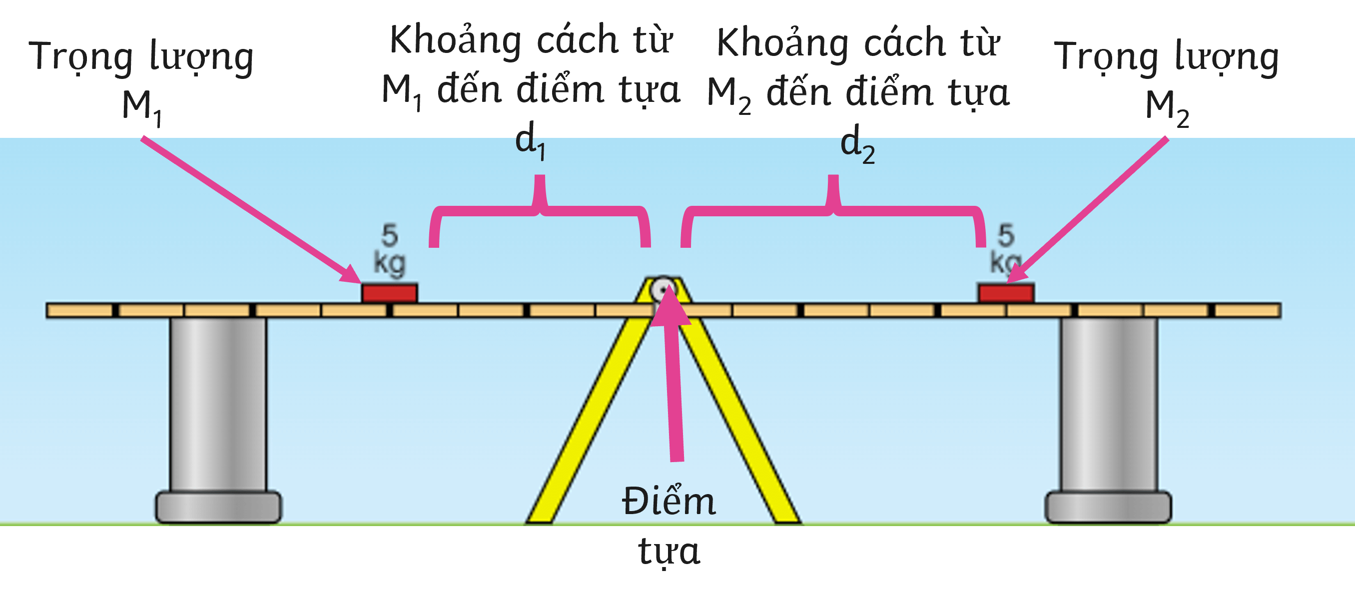 định luật hấp dẫn newton - Lớp 3 - Quizizz