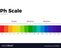 Scaled Pictographs - Year 5 - Quizizz