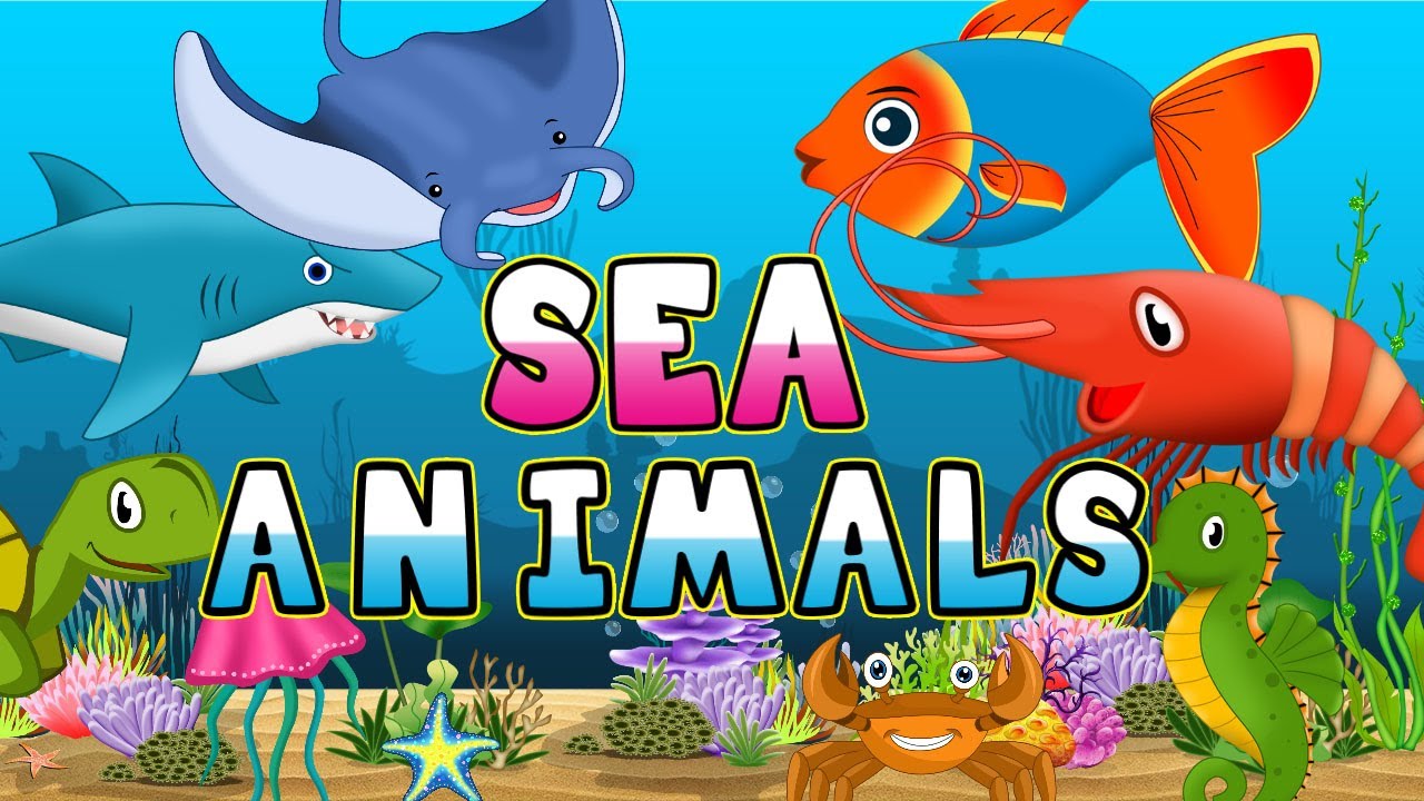 Sea Animals | Quizizz