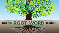 Root Words - Class 6 - Quizizz