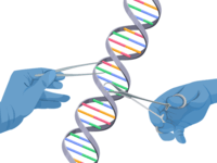 biotechnology - Grade 12 - Quizizz