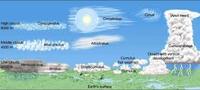 atmospheric circulation and weather systems - Grade 8 - Quizizz