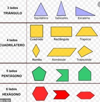 polígonos regulares e irregulares - Grado 7 - Quizizz