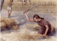 History Alive Lesson 3: From Hunters and Gatherers to Farmers