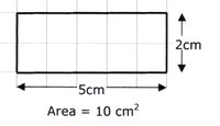 area and circumference of circles - Grade 4 - Quizizz