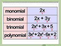 Monomials Operations - Year 10 - Quizizz