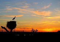 biodiversidad y conservación - Grado 1 - Quizizz