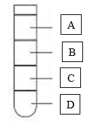 Metric Measurement - Class 6 - Quizizz