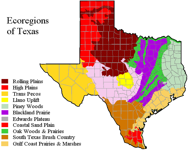 Texas Ecoregions and WED | Quizizz