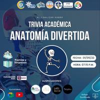 Cartões de anatomia Flashcards - Questionário