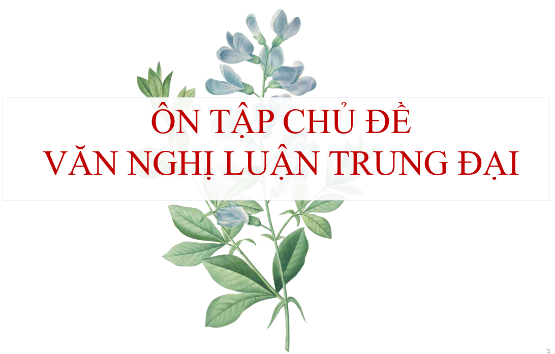 Cấu trúc đoạn văn - Lớp 8 - Quizizz