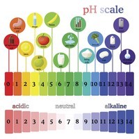 acid base reactions - Year 8 - Quizizz