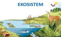 ekosistem - Kelas 7 - Kuis
