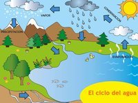 movimientos del agua del océano Tarjetas didácticas - Quizizz