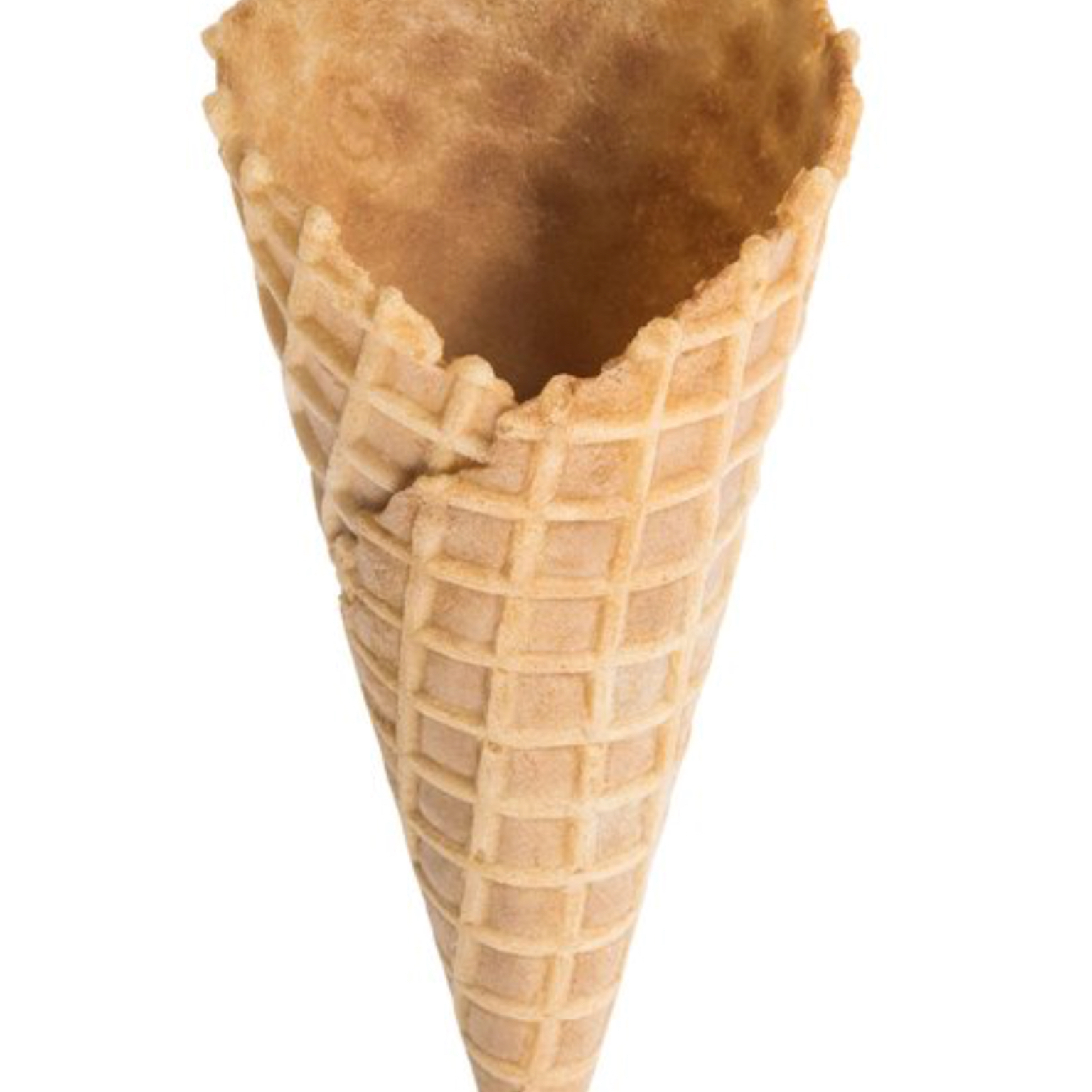 Surface Area of a Cone