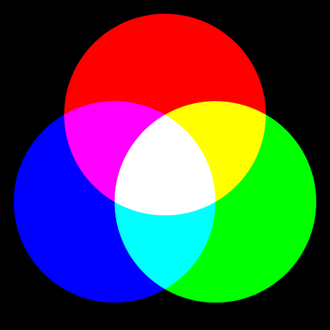 Color - Grado 11 - Quizizz