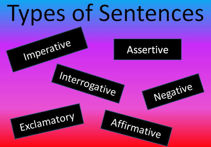 Types of Sentences - Class 3 - Quizizz