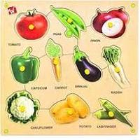 diagrama de células vegetales - Grado 1 - Quizizz