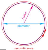 Area and Circumference of a Circle - Grade 10 - Quizizz