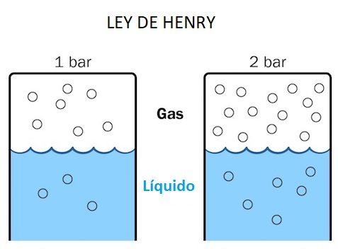 sólidos líquidos y gases - Grado 1 - Quizizz