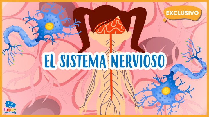 El Sistema Nervioso | Quizizz