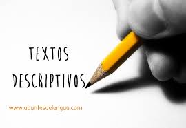 Evidencia de texto - Grado 10 - Quizizz