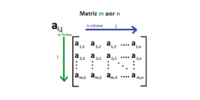 Multiplicación con matrices - Grado 11 - Quizizz