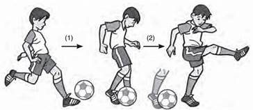 Sebelum menyundul bola diawali dengan ayunan kepala terlebih dahulu fungsi gerak ayunan kepala adalah