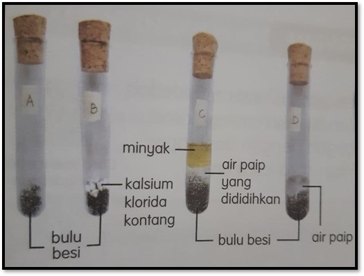 Uji Minda Pengaratan Bahan Science Quizizz