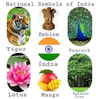National Symbols Flashcards - Quizizz