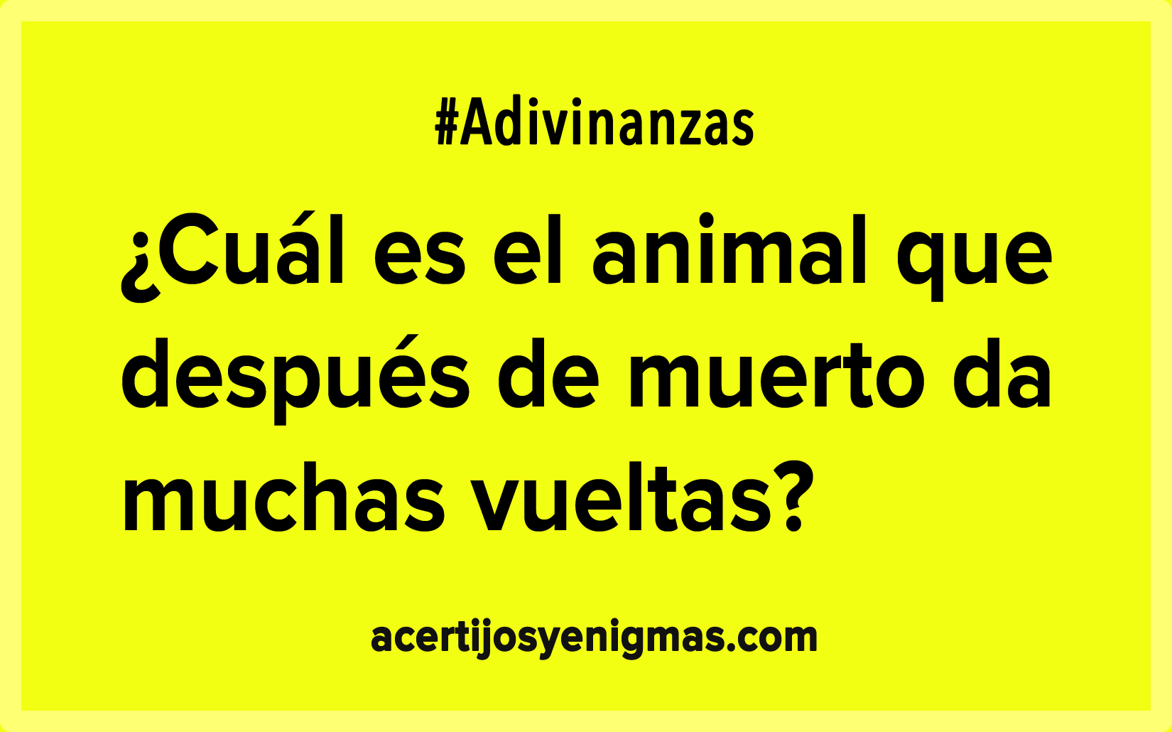 Tu perro en cuarentena: ocho juguetes para que esquive la depresión por  encierro