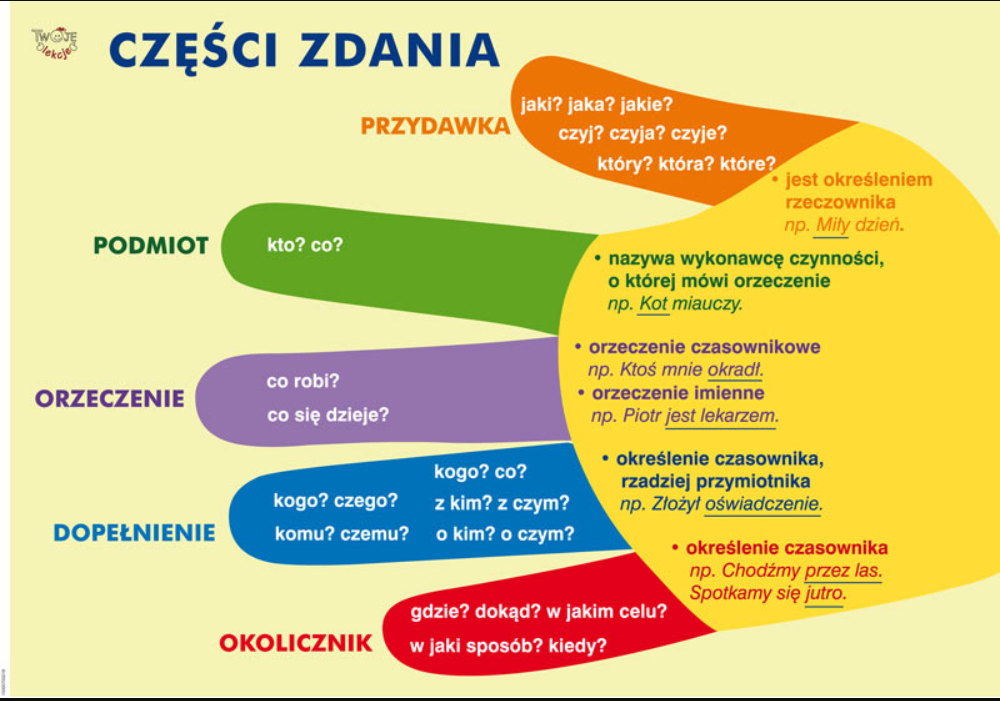 Ułamki jako części całości - Klasa 7 - Quiz