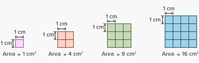 measuring-perimeter-area-1-mathematics-quizizz