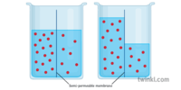 osmosis and tonicity - Class 6 - Quizizz