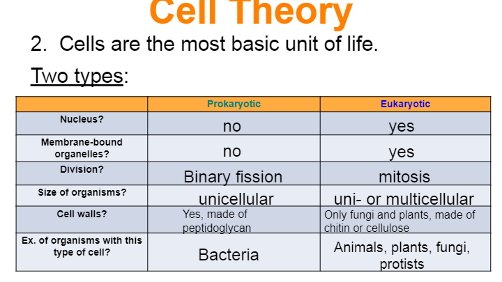 Organelles | Biology - Quizizz