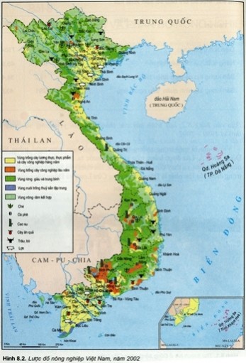 hoán vị và kết hợp - Lớp 5 - Quizizz