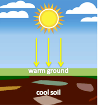 atmospheric circulation and weather systems - Grade 7 - Quizizz