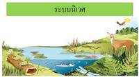 วิทยาศาสตร์ชีวภาพ - ระดับชั้น 3 - Quizizz