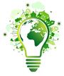 EnvSci Ch1:4 What is an Environmentally Sustainable Society?