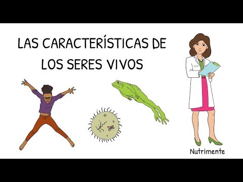 Biología del desarrollo - Grado 10 - Quizizz