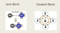 chemical bonds - Year 12 - Quizizz