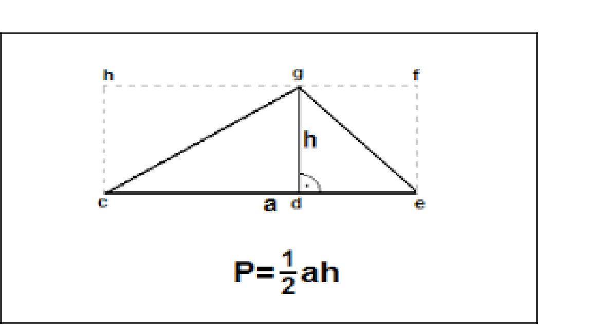 Obszar - Klasa 3 - Quiz